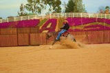 Avila California Cow Horse Bit AVB-630