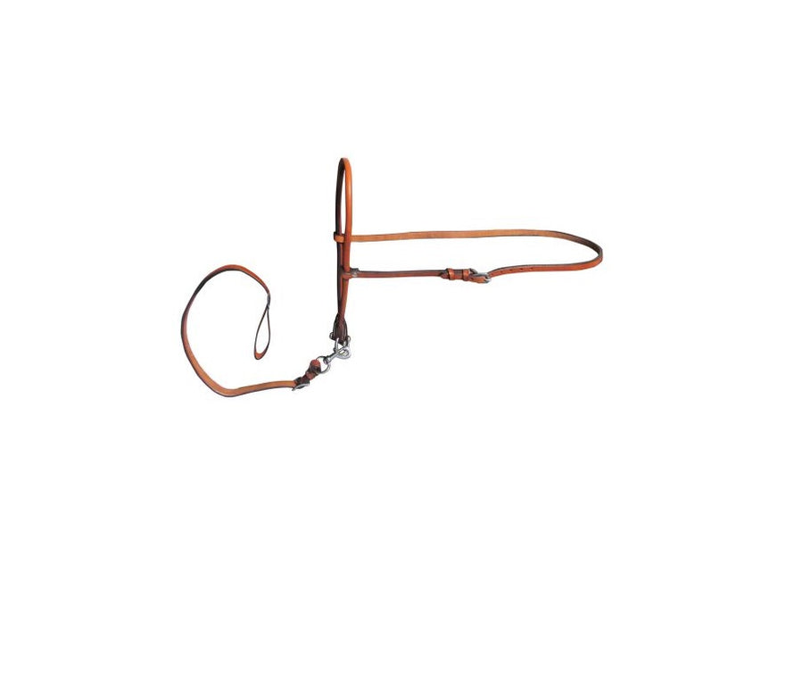 Argentina Cow Leather Smooth Leather Noseband and Tie Down