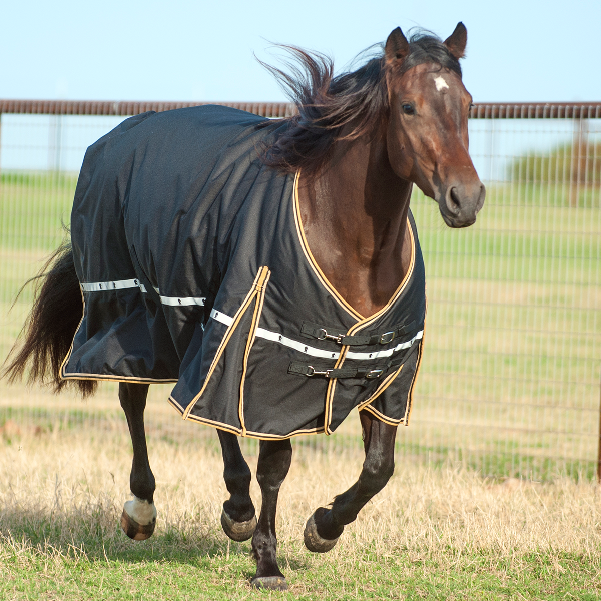 5K Cross Trainer Standard Blanket.Cobija De Caballo