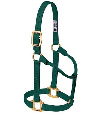 ORIGINAL WEAVER GREEN NON - ADJUSTABLE HALTER , HerraduraDeOro - HerraduraDeOro