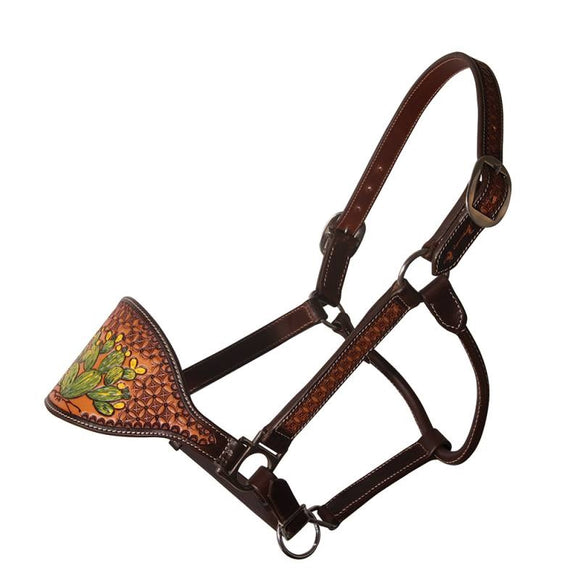 Cactus Bronc Halter 3PLBH-CA