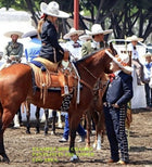 PANTALONES DE CHARRO CON GRECA.