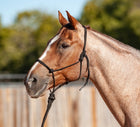 CLASSIC EQUINE COMBO BOOTS DYNO TURN BELL & LEGACY 2 SUPPORT BOOTS. * FREE * Rope Halter and 8-foot Leadrope