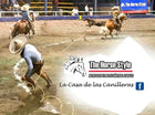 CANILLERAS DE CABALLO BOTA Y CAMPANA SEPARADA *FREE SHIPPING*