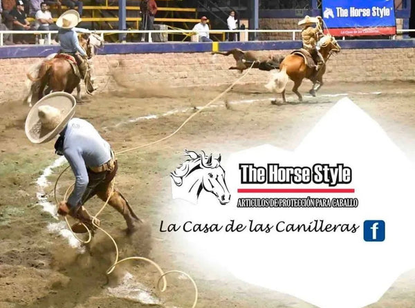 CANILERAS DE CABALLO COLOR BLANCAS PARA CABALLOS DE NEOPRENE.SE CIERRA CON VELCRO - HerraduraDeOro