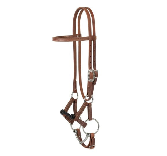 Kalley Krickeberg Horseman's Bridle for Transition from Bitless to Snaffle Bit
