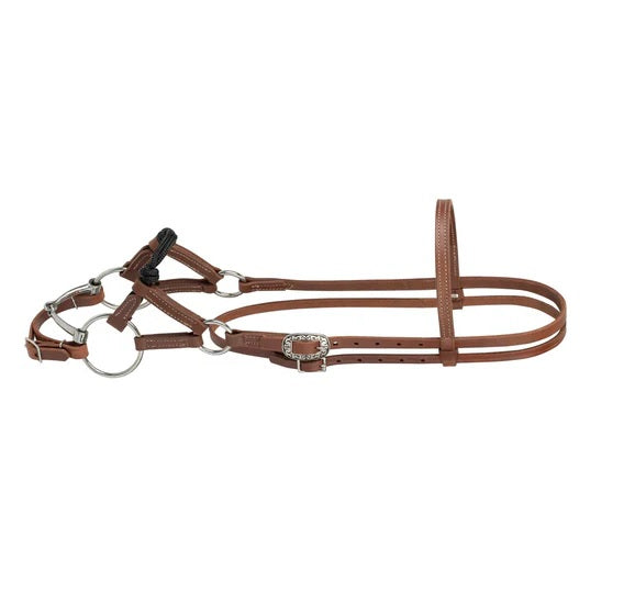 Kalley Krickeberg Horseman's Bridle for Transition from Bitless to Snaffle Bit