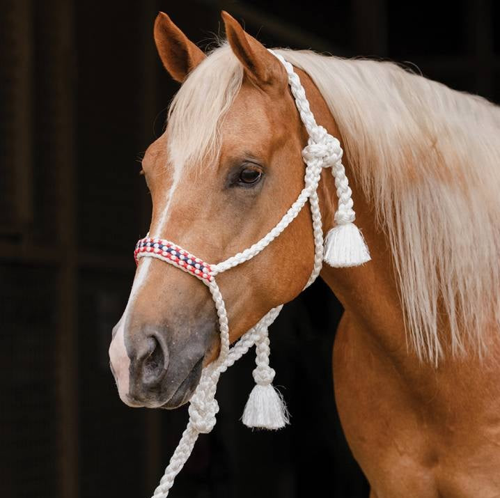 Professional's Choice Cowboy Braided 10' Lead Halter