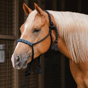 Professional's Choice Cowboy Braided 10' Lead Halter