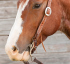 Classic Equine Cheek Smooth Snaffle Bit TBBIT36SS20