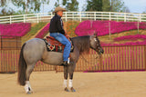 Avila California Cow Horse Bit AVB-630