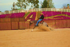 Avila California Cow Horse Bit AVB-630