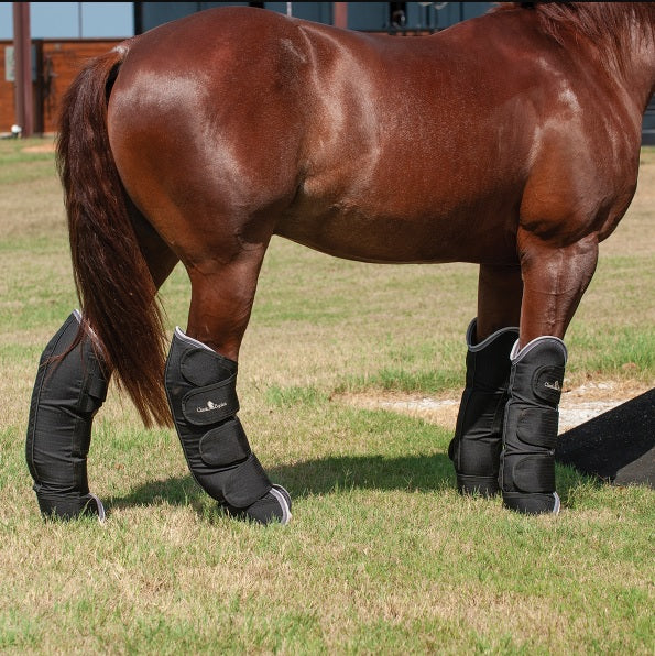 Classic Equine Shipping Boots, Black, Large