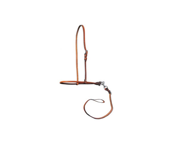 Argentina Cow Leather Smooth Leather Noseband and Tie Down