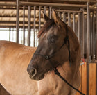 CLASSIC EQUINE BIOFIT CORRECTION SHIM SADDLE PAD  *RECEIVE YOUR ROPE HALTER AND LEAD ROPE GIFT WITH PURCHASE*