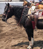 FRENO CHARRO . Mexican Unique Charro  Horse Bit , HerraduraDeOro - HerraduraDeOro