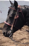 FRENO CHARRO . Mexican Unique Charro  Horse Bit , HerraduraDeOro - HerraduraDeOro
