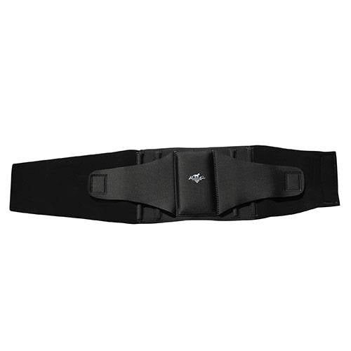 Professional's Choice Comfort Fit Low Back Support