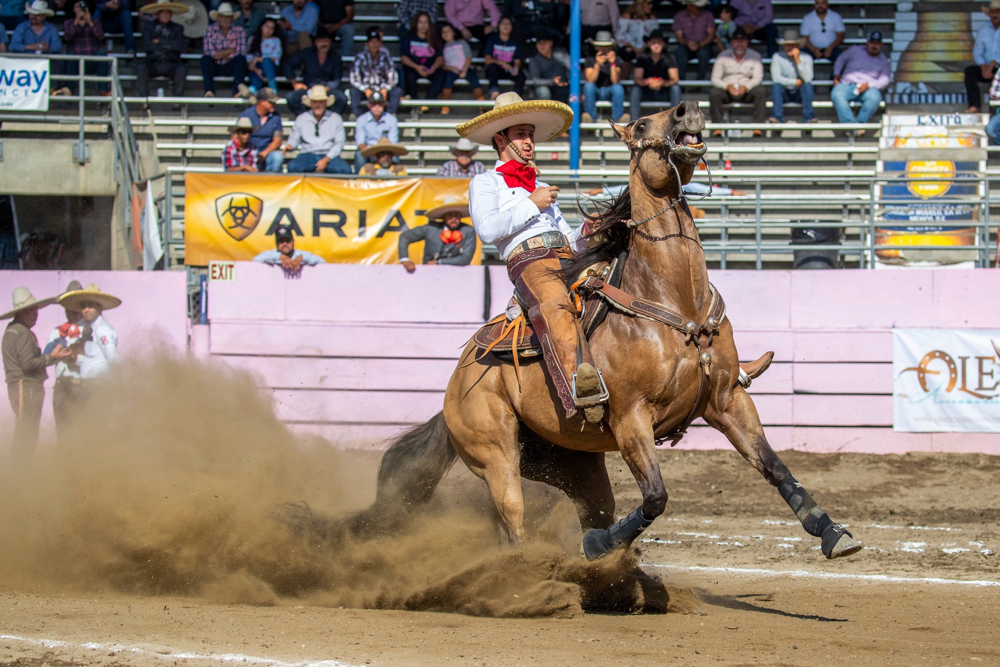 CANILLERAS NEGRAS PROFESSIONAL CHOICE. BLACK SMB COMBO BOOTS