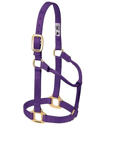 ORIGINAL WEAVER PURPLE  NON - ADJUSTABLE HALTER , HerraduraDeOro - HerraduraDeOro