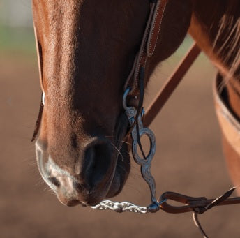 Les Vogt Bit, Cowhorse, LV COWHORSE BIT #2 P4 – 7 1/2″ SHANK MASTER VERSATILITY