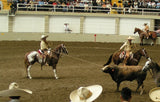 PANTALONES DE CHARRO CON GRECA.