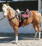 CANILLERAS BLANCAS PROFESSIONAL CHOICE.  WHITE SMB COMBO BOOTS , HerraduraDeOro - HerraduraDeOro